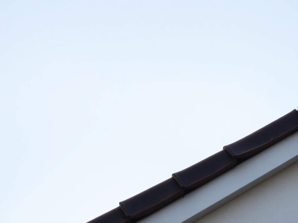 Nock på ett tegeltak mot ljus himmel
